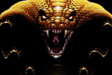 Ultima Creator Richard Garriott Says Copyrights Will Return in 2027