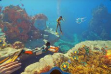 Steam Early Access Grows as Developers Face Full-Launch Expectations